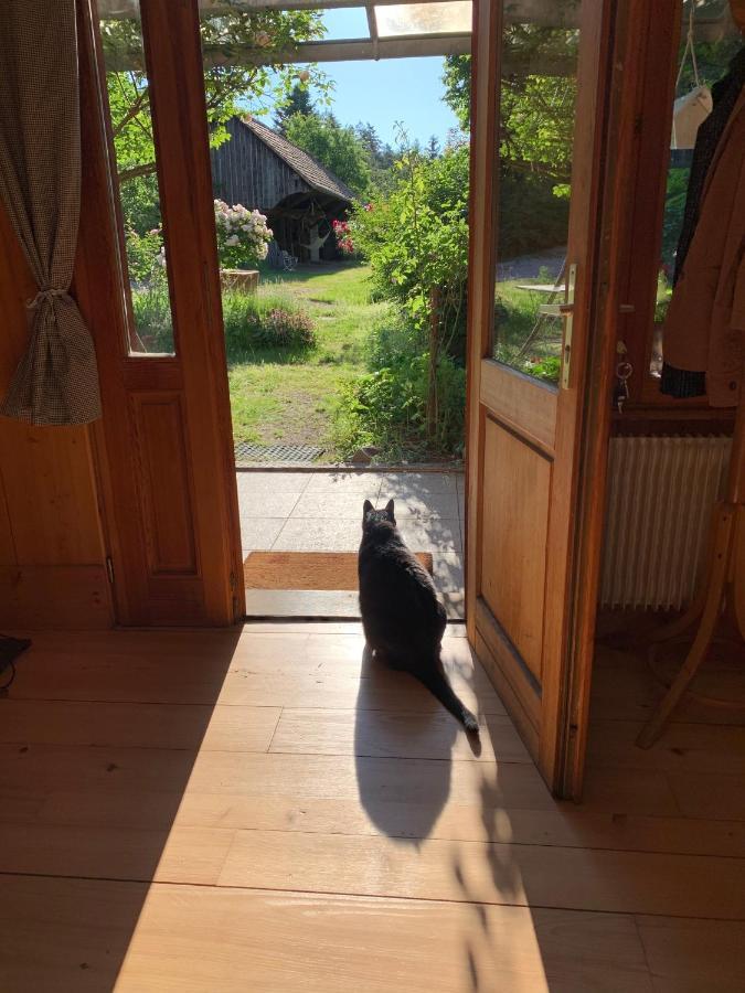 Le Manoir Des Sens - Foret De Bergheim Esterno foto