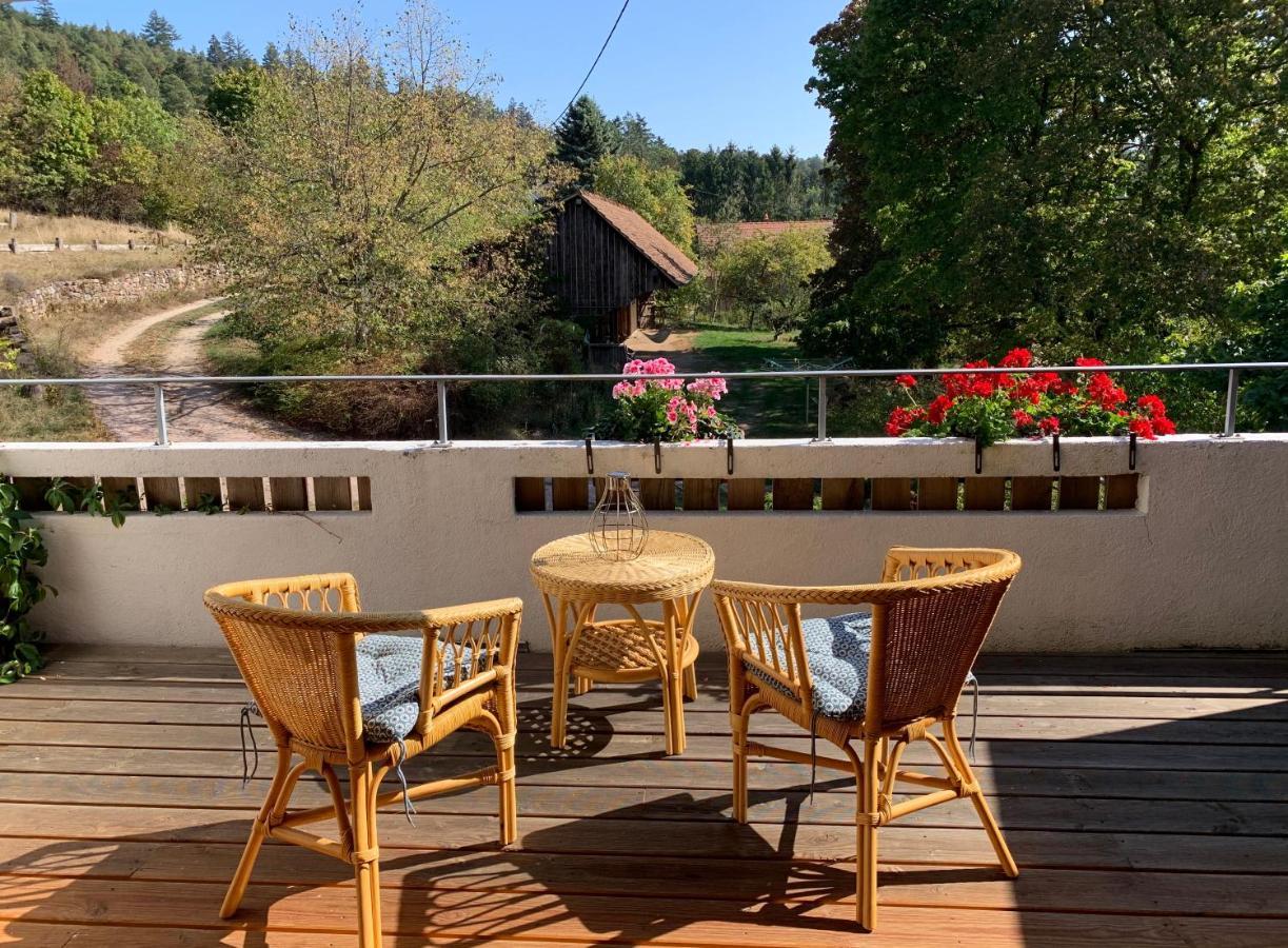 Le Manoir Des Sens - Foret De Bergheim Esterno foto