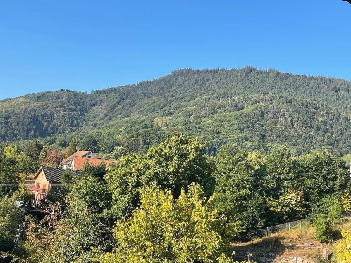 Le Manoir Des Sens - Foret De Bergheim Esterno foto