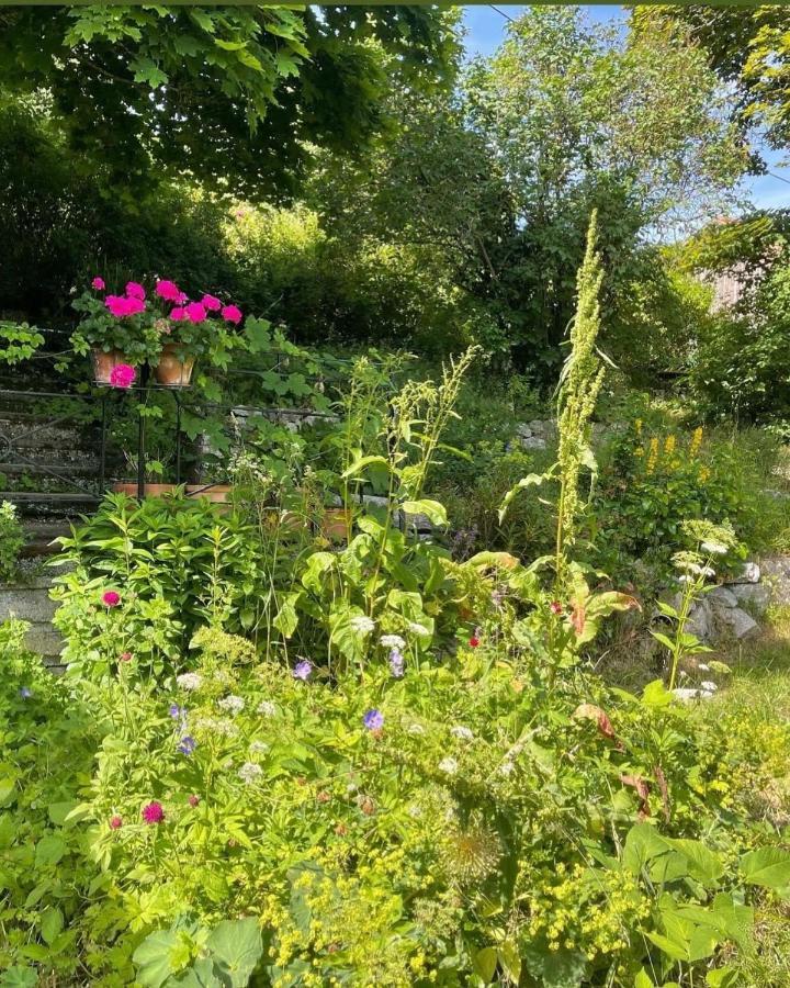 Le Manoir Des Sens - Foret De Bergheim Esterno foto