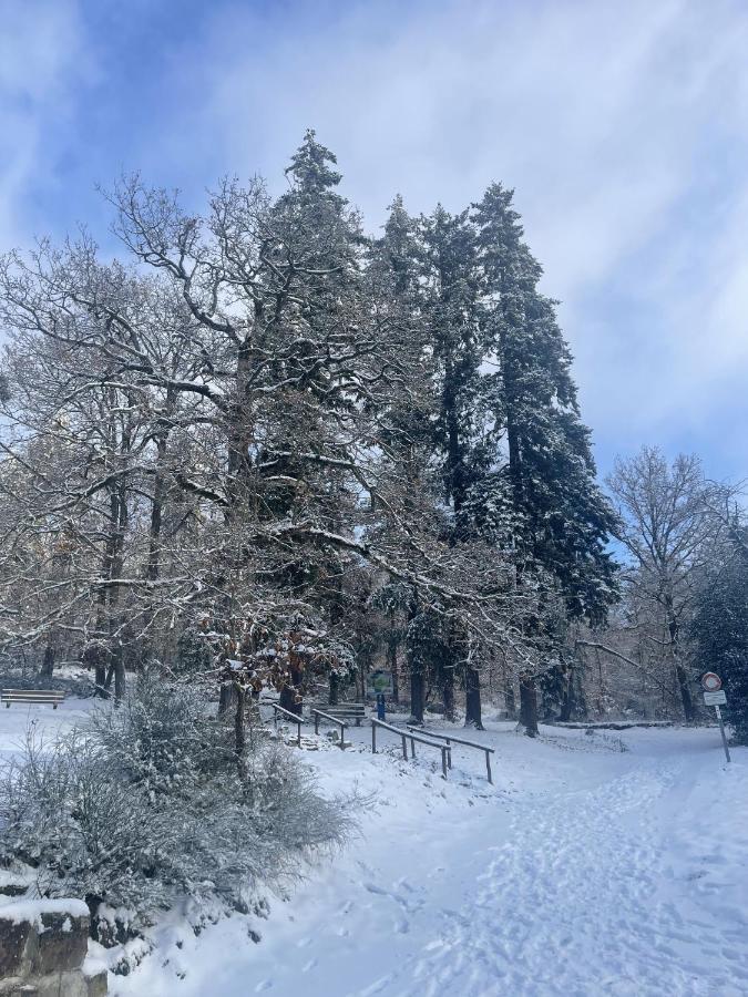 Le Manoir Des Sens - Foret De Bergheim Esterno foto