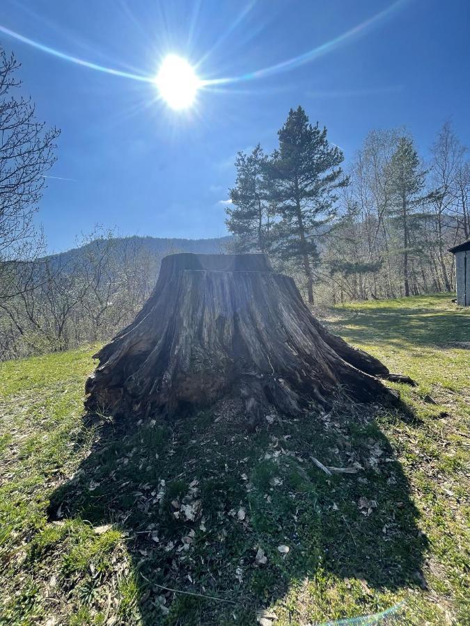 Le Manoir Des Sens - Foret De Bergheim Esterno foto